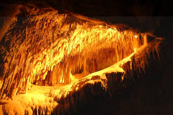 Jenolan caves