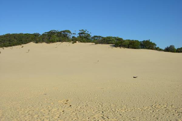 The Carlo Sand Blow at Rainbow Beach.