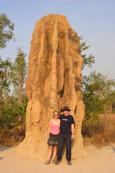 Cathedral termite mound