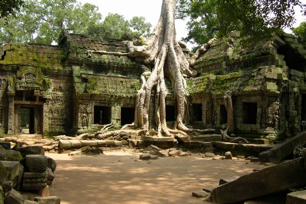 Ta Prohm