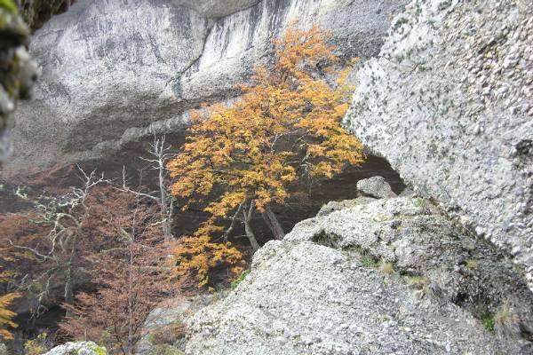 Cueva del Miladon