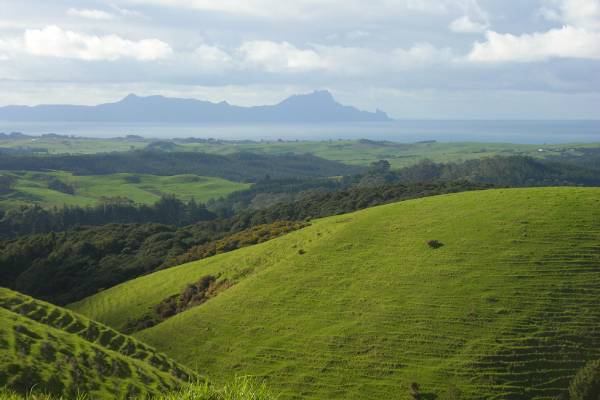 New Zealand countryside