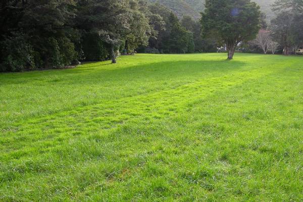 Isengard path in Harcourt park