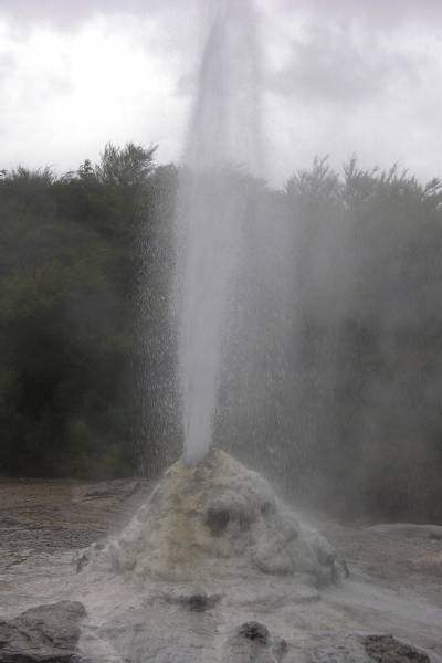 Lady Knox geyser, Waiotapu