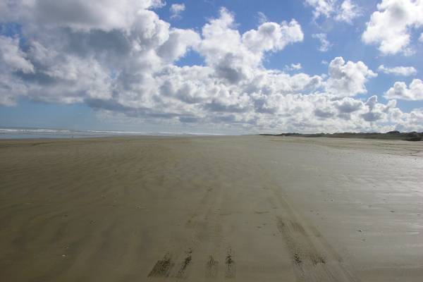 Ninety mile beach