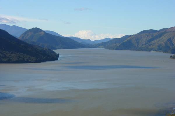 A Picton fjord