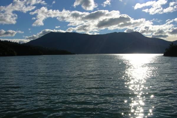 A Picton fjord