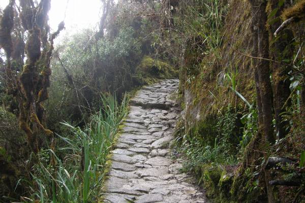 Inca Trail Day 3