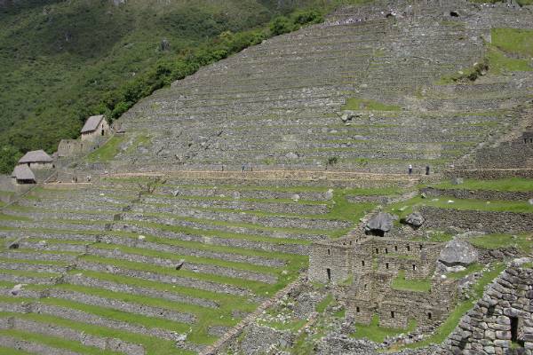 Machu Picchu terraces