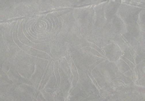 Nazca monkey